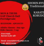 KIRYOKU Karate Dojo Perridgevale Karate Schools 1_small