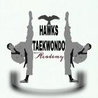 Private lessons at home or school Rivonia Taekwondo Classes & Lessons