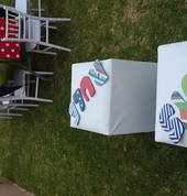 Pink Bug Events Edenvale Party Hire 4_small