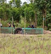 Wetlands Paintball St. Lucia Paintball 1_small