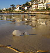 Fish Hoek Beach