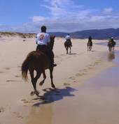 Beach Ride