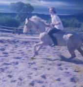 Riding free & wild