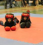 Our fighters