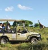 Falaza Game Drive