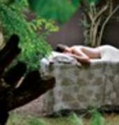 Falaza Spa