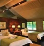 Luxury Tent