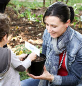 Cherry Tomatoes Gardening Club Craighall Park Educational School Holiday Activities 3_small