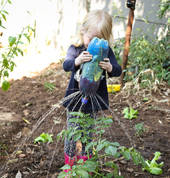 Cherry Tomatoes Gardening Club Craighall Park Educational School Holiday Activities 4_small
