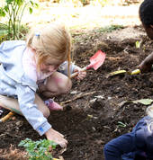 Cherry Tomatoes Gardening Club Craighall Park Educational School Holiday Activities 5_small