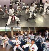 Shane Dorfman Karate Birnam Karate Classes & Lessons 1_small
