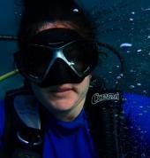 Dive & Adventure Gordon's Bay Gordon's Bay Scuba Diving Courses 8_small
