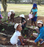 Gardening