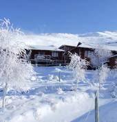 Tiffindell Ski Resort Barkly East City Snow Skiing Fields 1_small