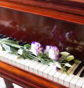 Piano studies