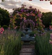 The Fragrant Garden