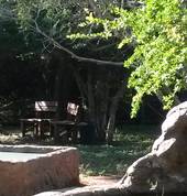 Take a rest on the mini-golf course 9th hole.