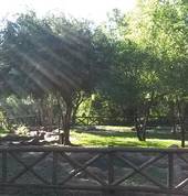 Bush Putt-Putt & Playground Komatipoort City Party Venues 1_small