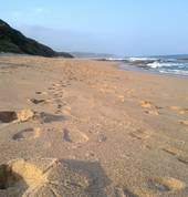Beach in front of the house
