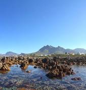 Tidal pools