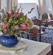 Fynbos Flore