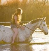 One World Equestrian Center Midrand City Horse Riding Classes & Lessons 1_small