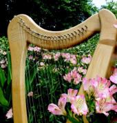 Letters to the Bride Music School Douglasdale Harp Teachers 2_small