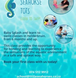 The 5 Best Swimming Classes Lessons For Kids In Roodepoort Activeactivities