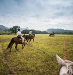 Romantic Trail Ride Lanseria Horse Riding Classes &amp; Lessons