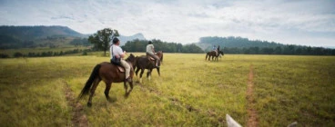 Romantic Trail Ride Lanseria Horse Riding Classes &amp; Lessons