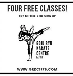 Four Free Classes Florida Hills Karate Clubs