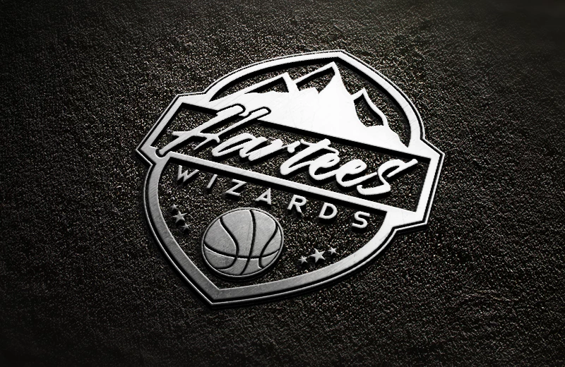 Hartees Wizards Basketball Academy